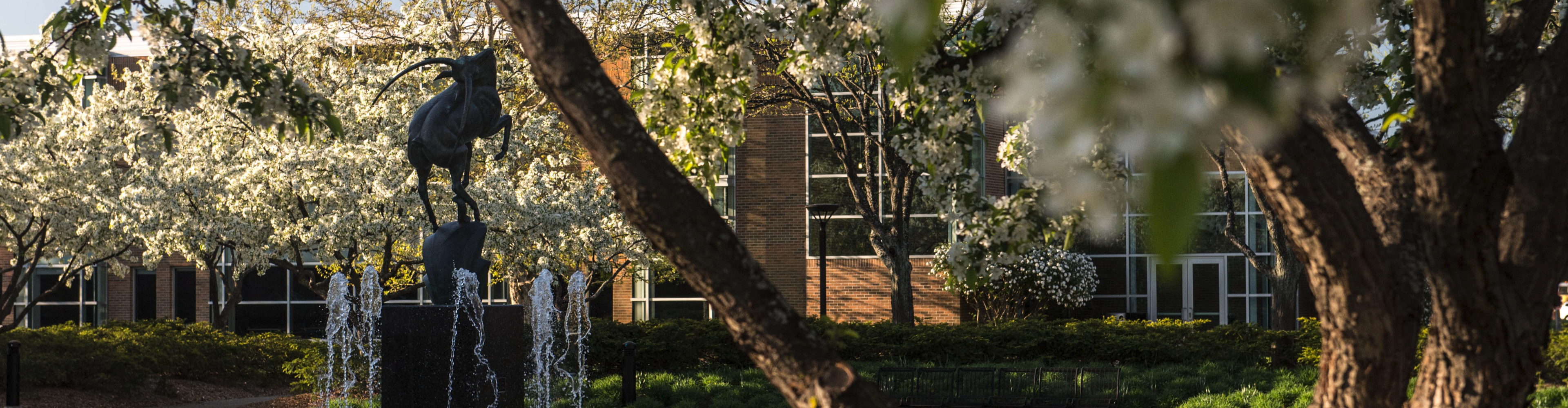 SVSU Spring Statue Scenics